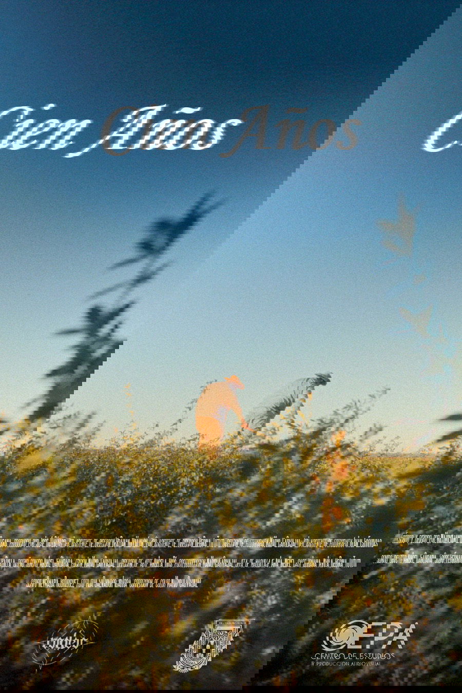 Cien Años poster