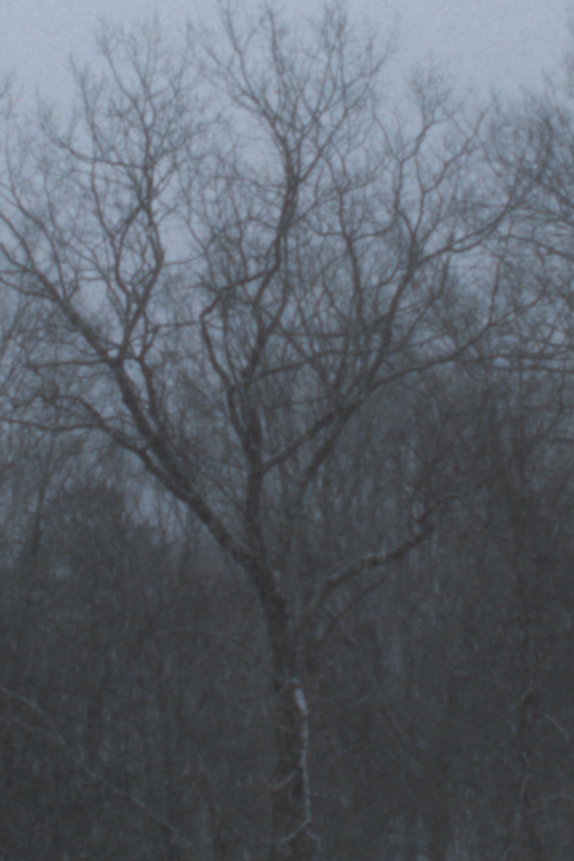 Snowfall poster