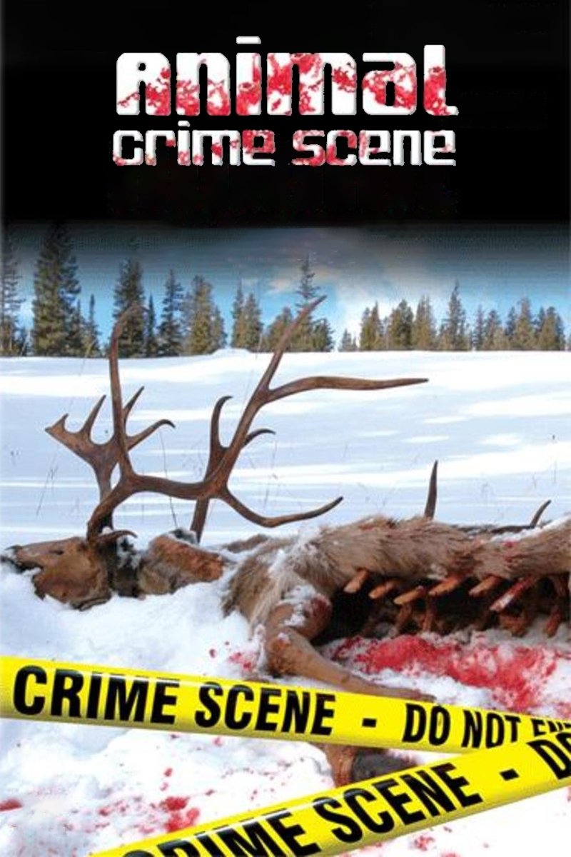 Animal Crime Scene poster