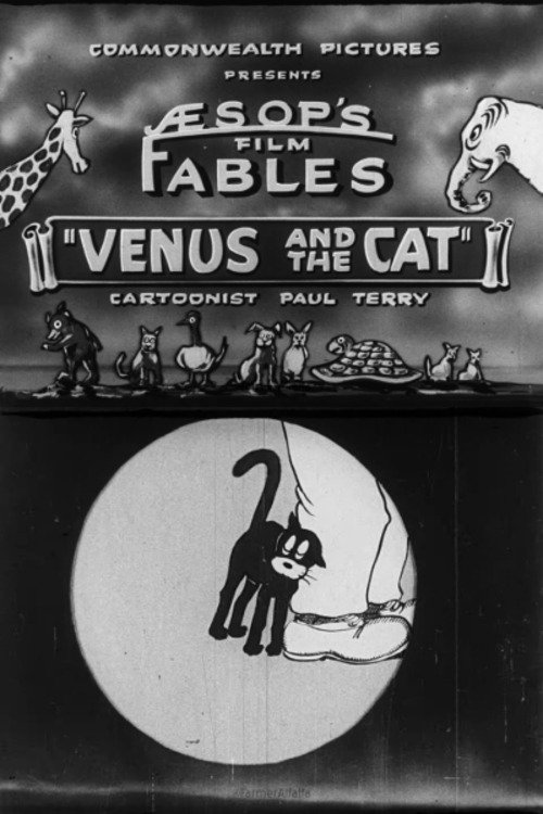 Venus and the Cat poster