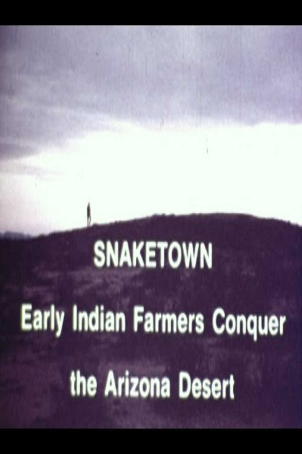 Snaketown- Early Indian Farmers Conquer the Arizona Desert poster
