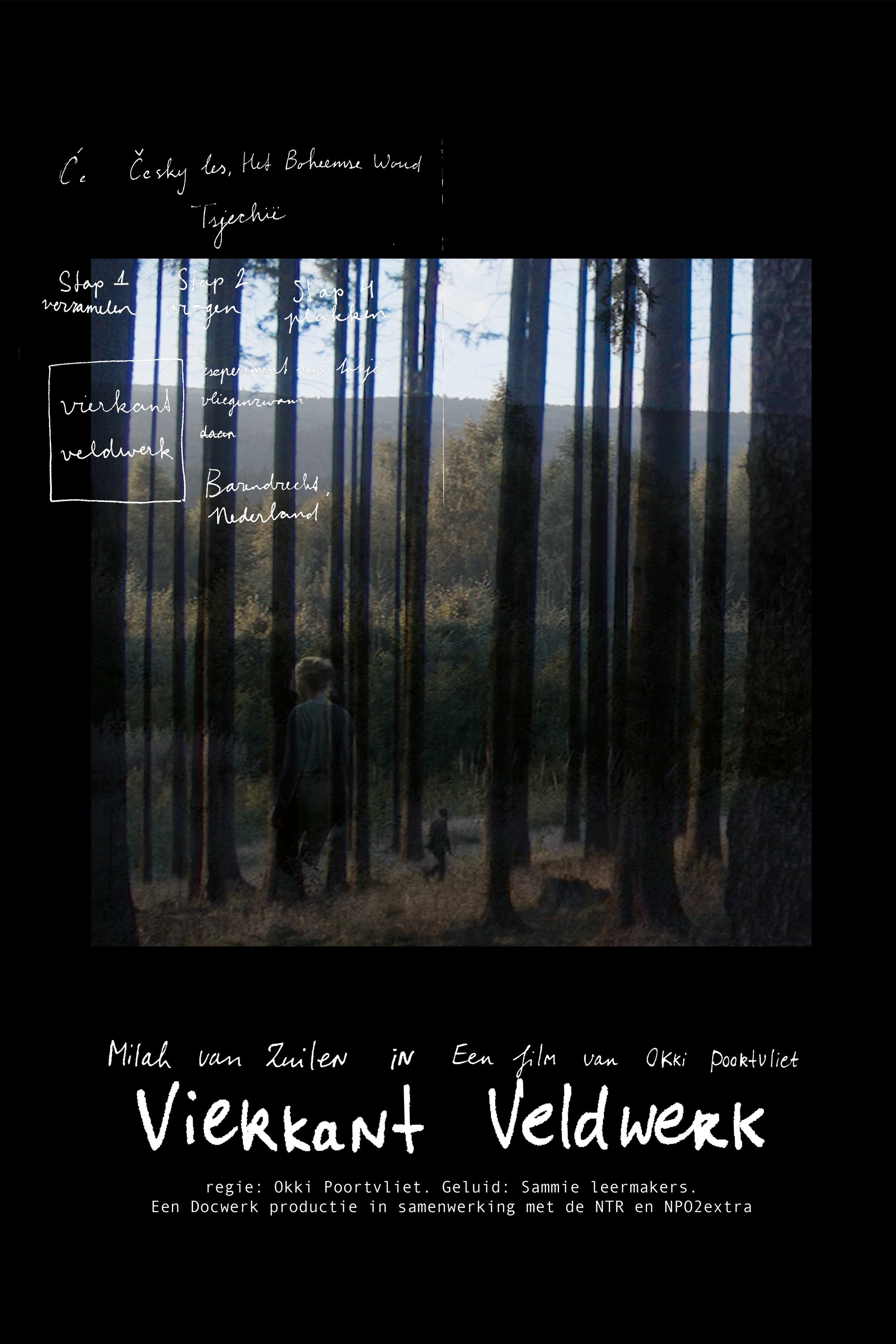 Square Fieldwork poster