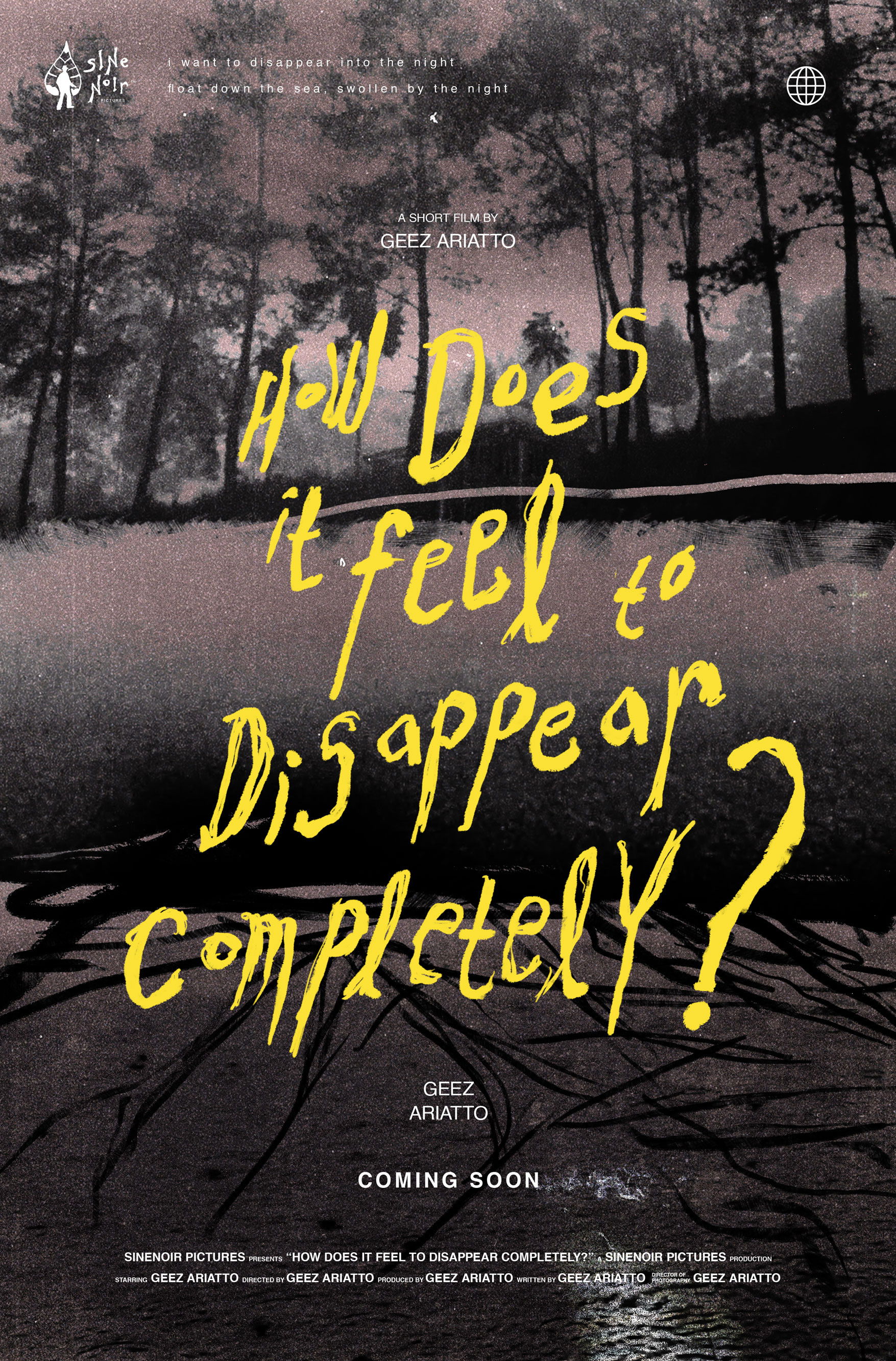 How Does It Feel to Disappear Completely? poster