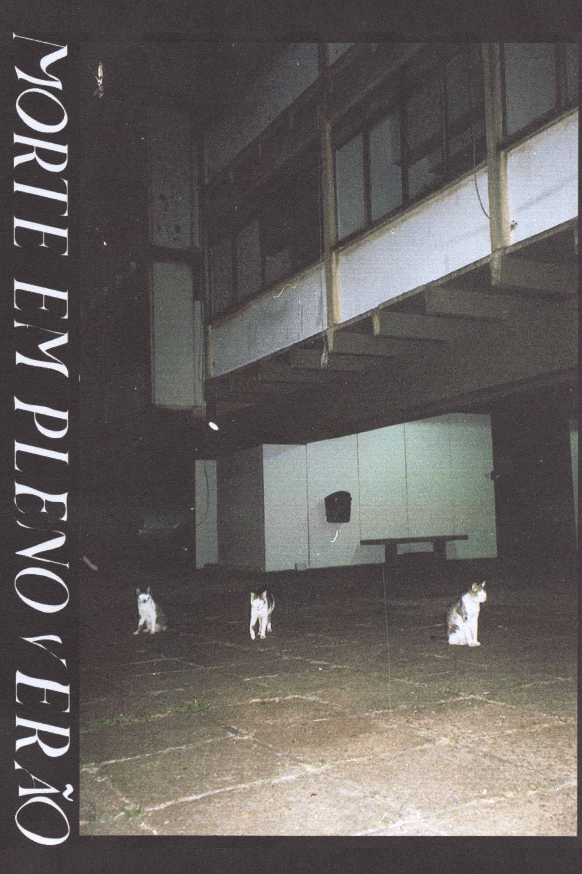 Morte em pleno verão poster