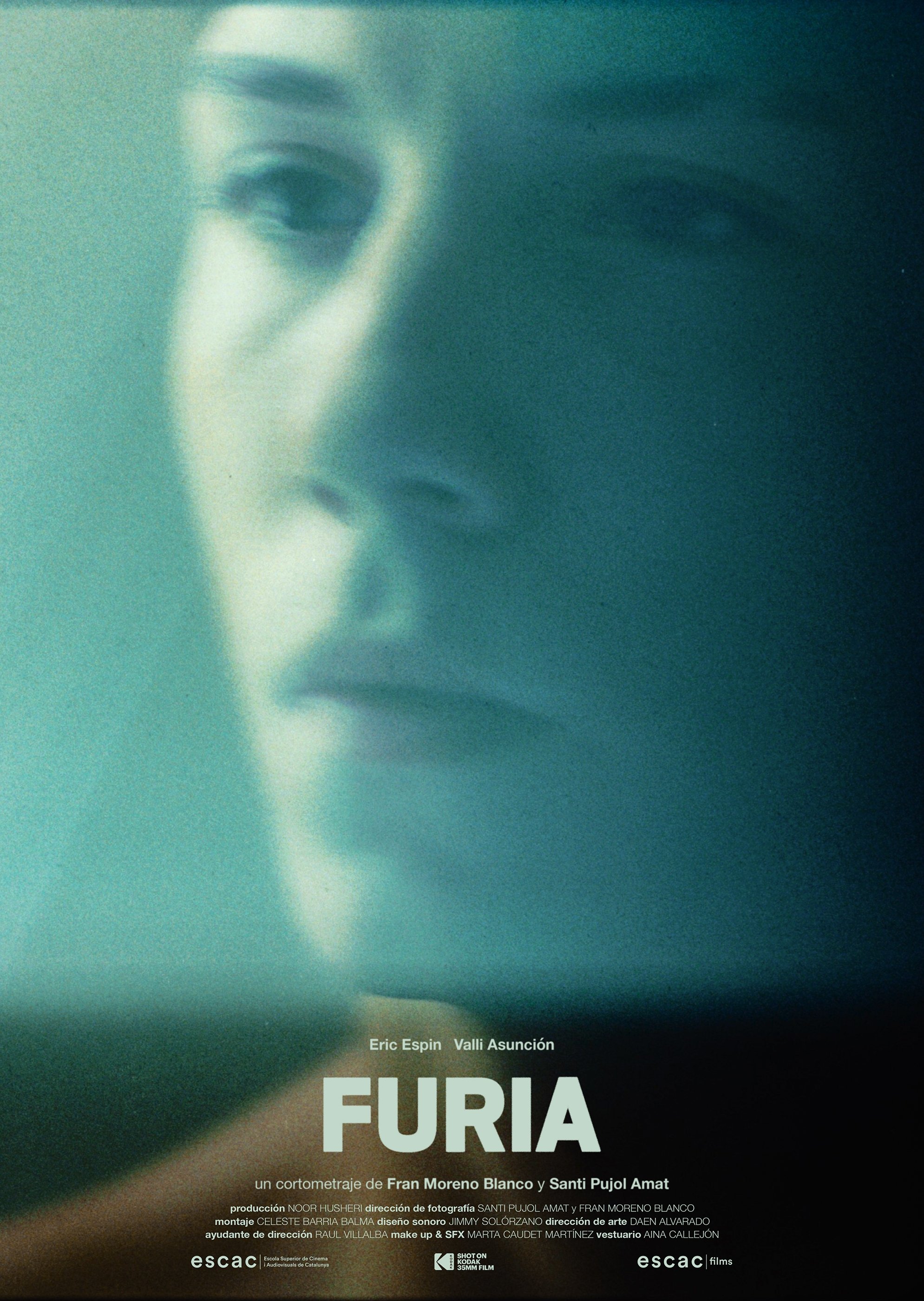 Furia poster