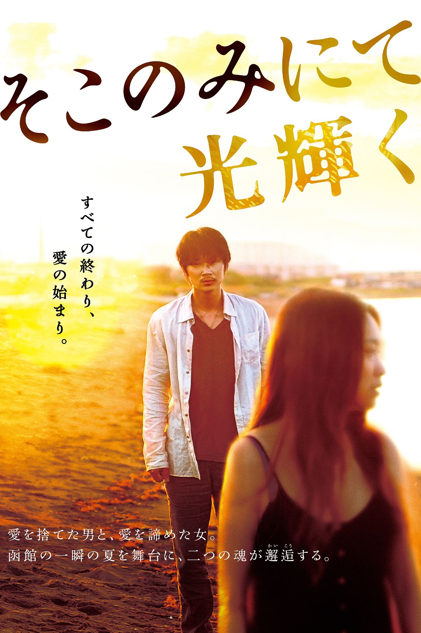 The Light Shines Only There poster