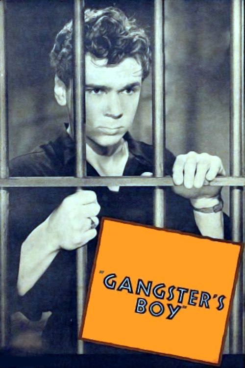 Gangster's Boy poster