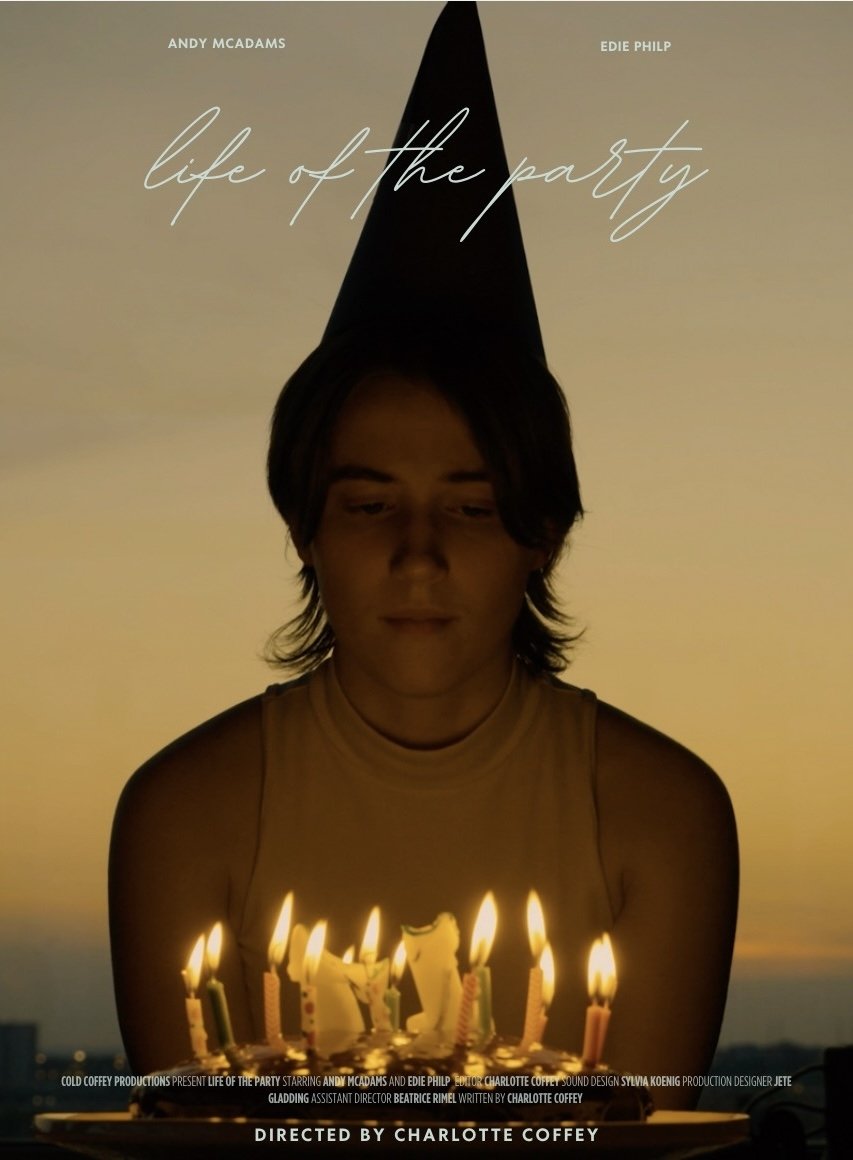 life of the party poster