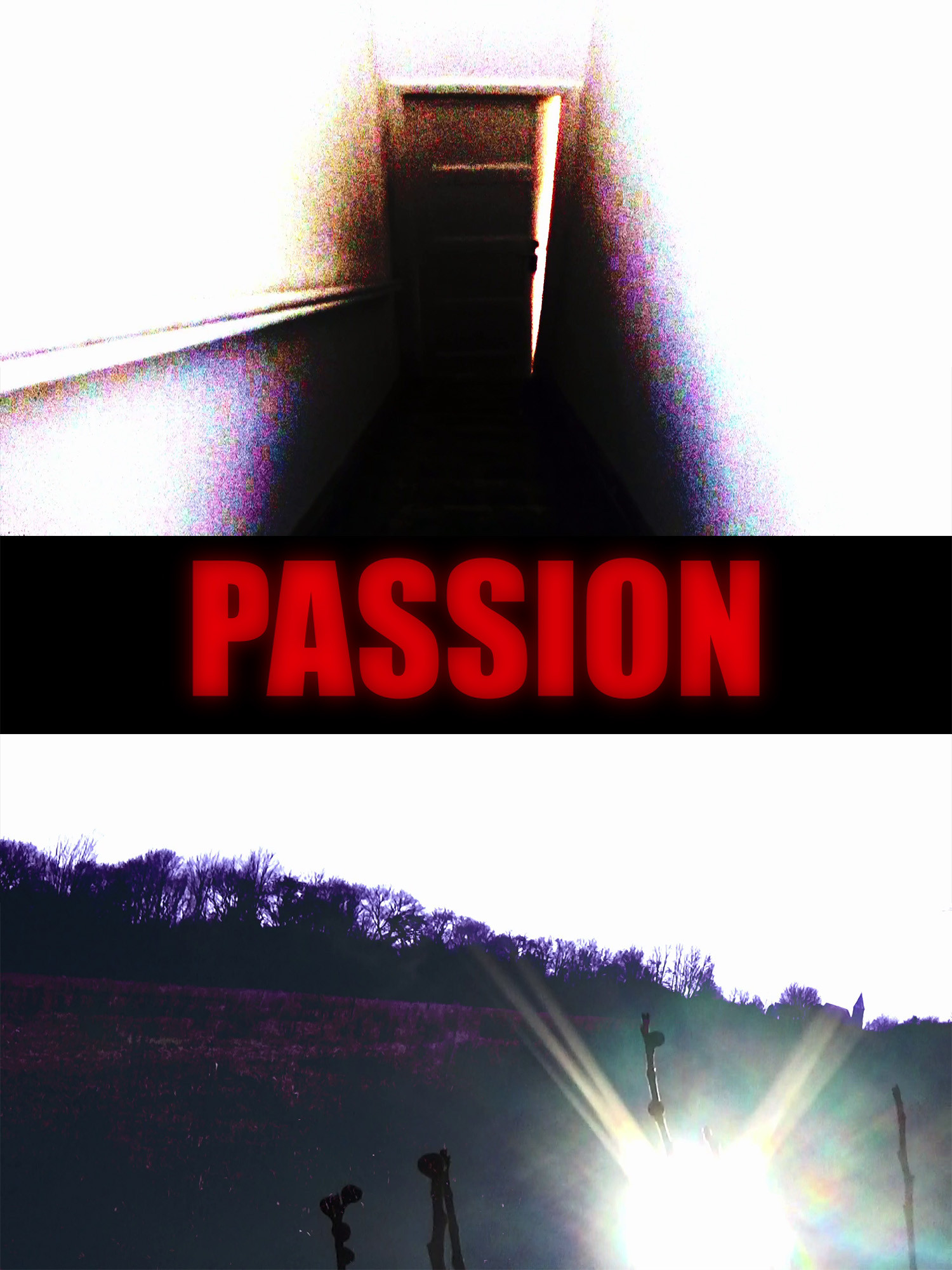 Passion poster