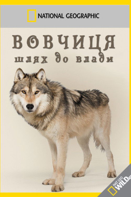 Wild Yellowstone: She Wolf poster