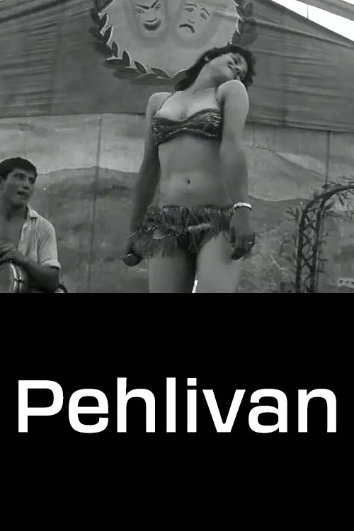 Pehlivan poster