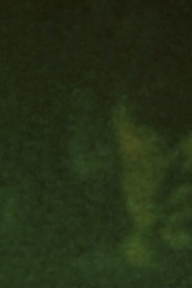 Song 29 poster
