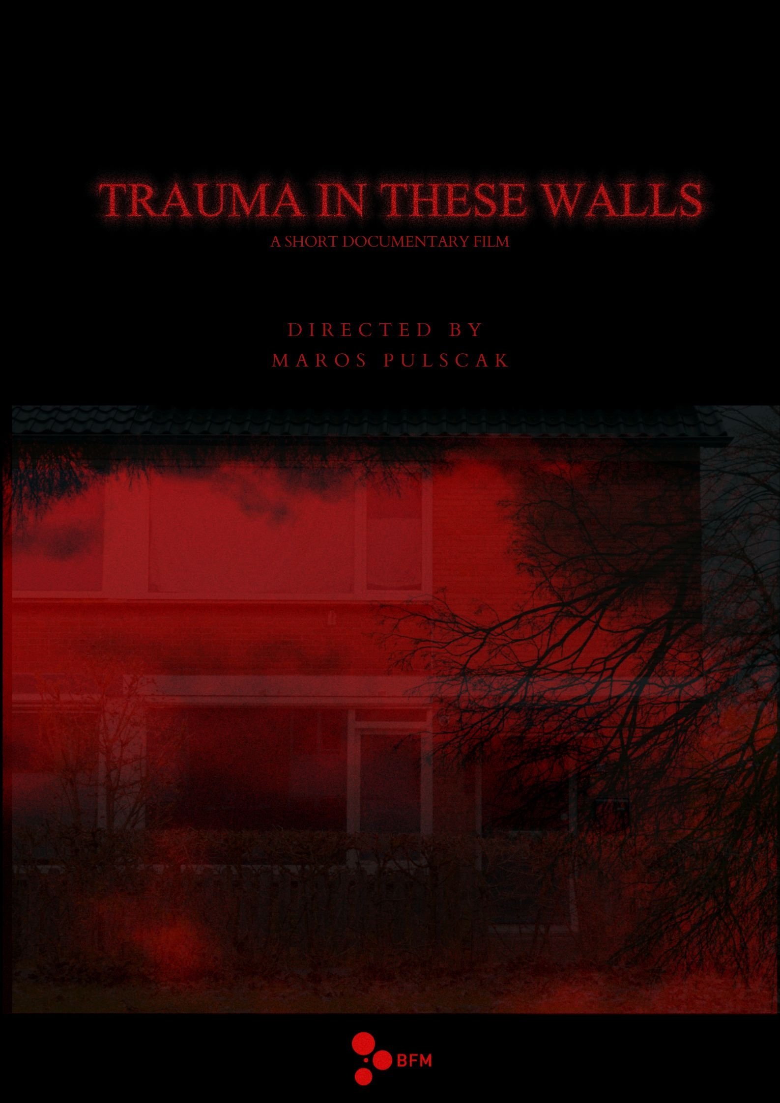 Trauma in These Walls poster