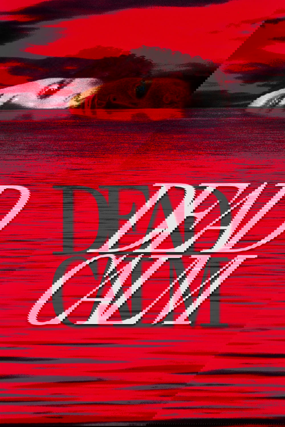 Dead Calm poster