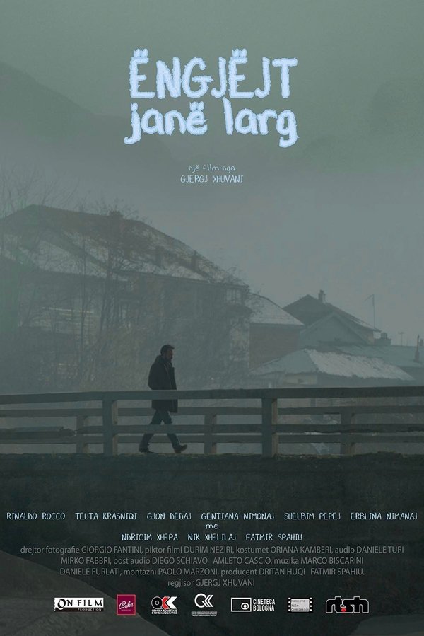 Distant Angels poster