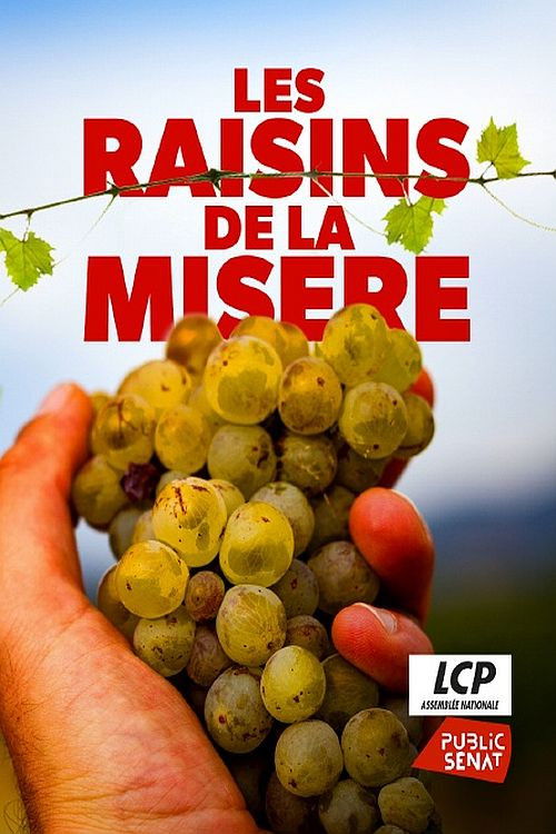 Les raisins de la misère poster