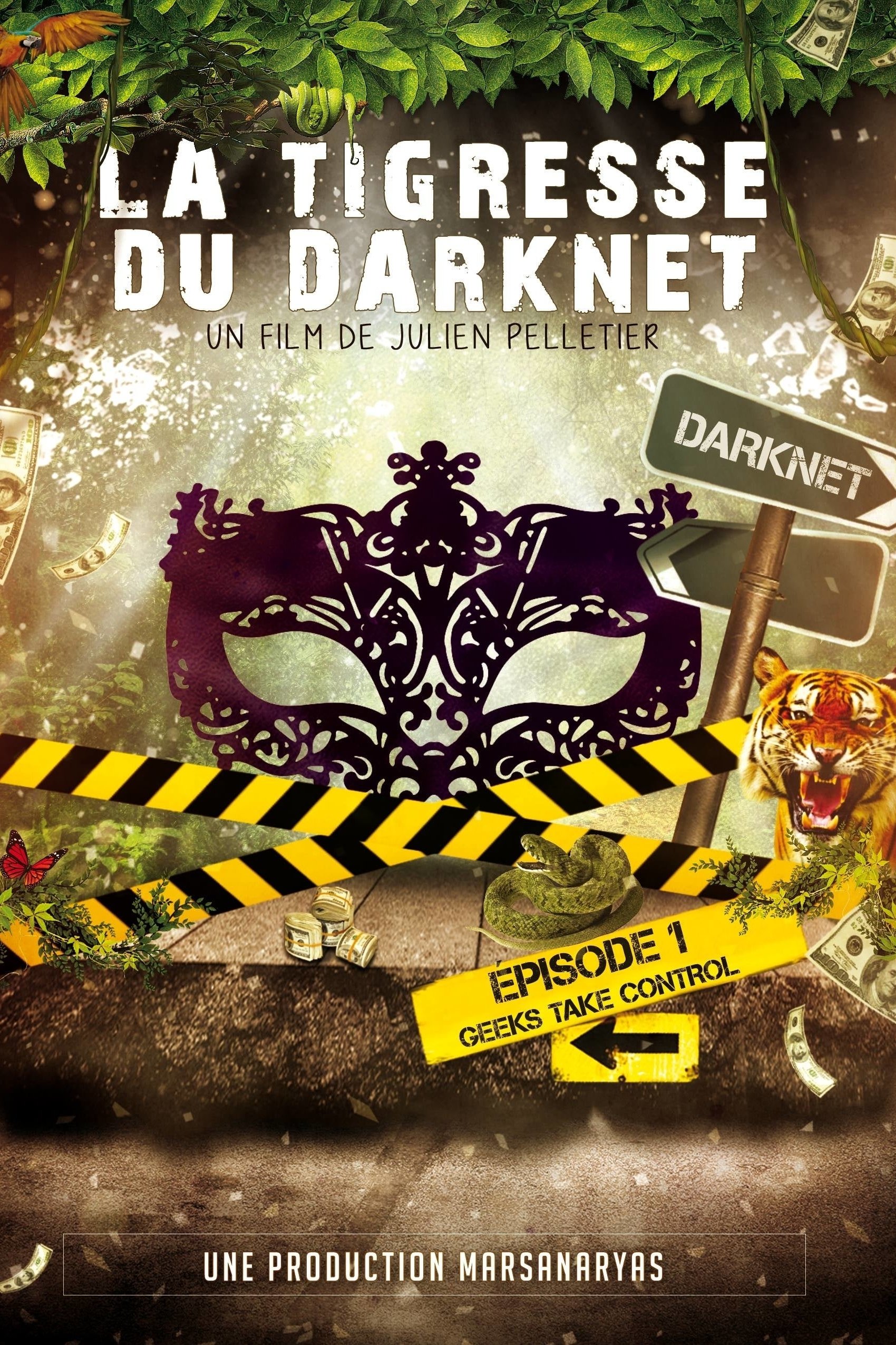 La Tigresse du Darknet poster