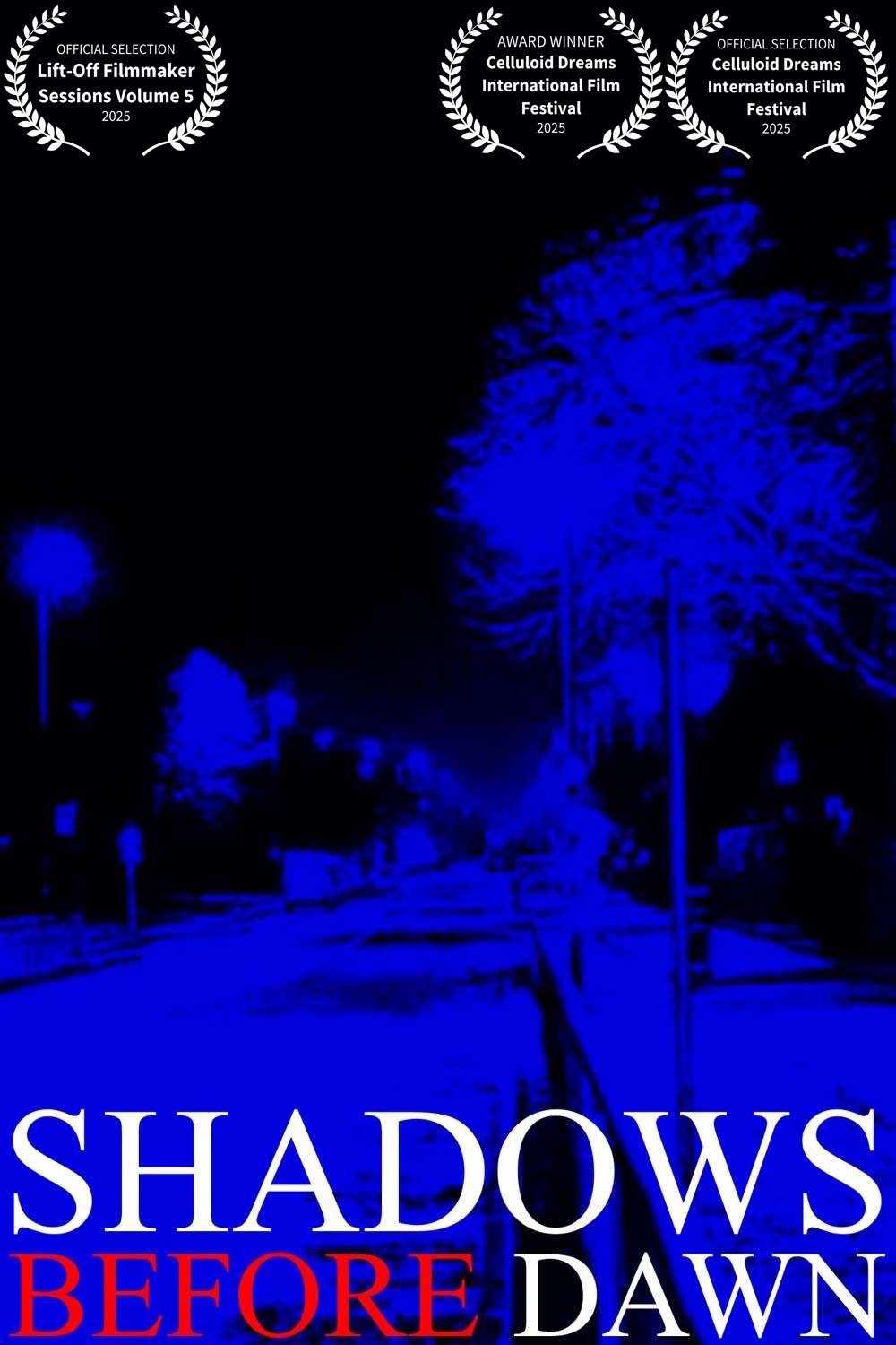 Shadows Before Dawn poster