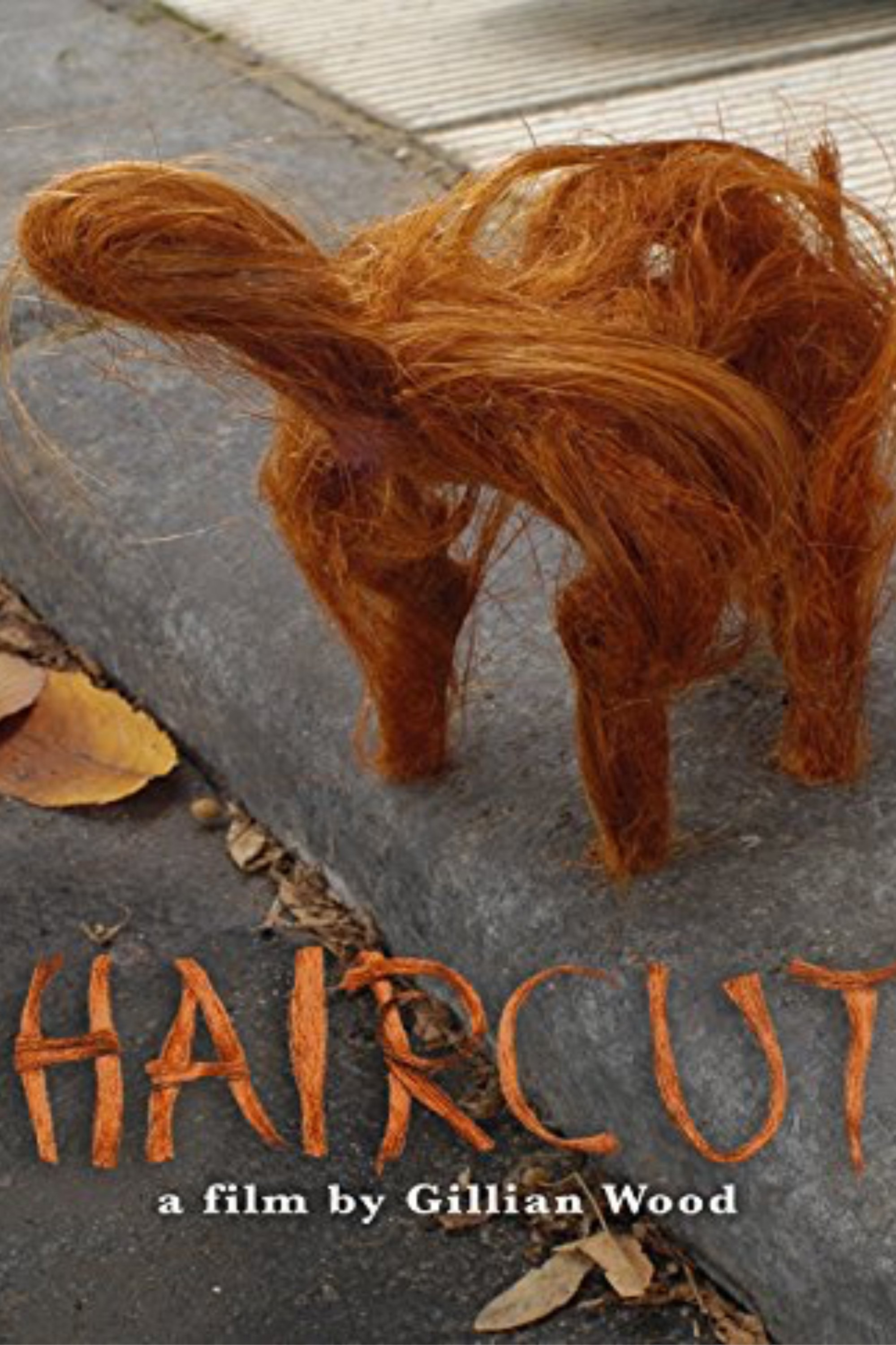 Haircut poster