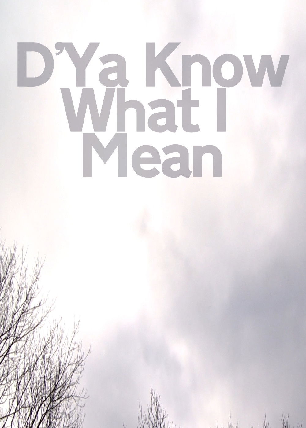 D'Ya Know What I Mean poster