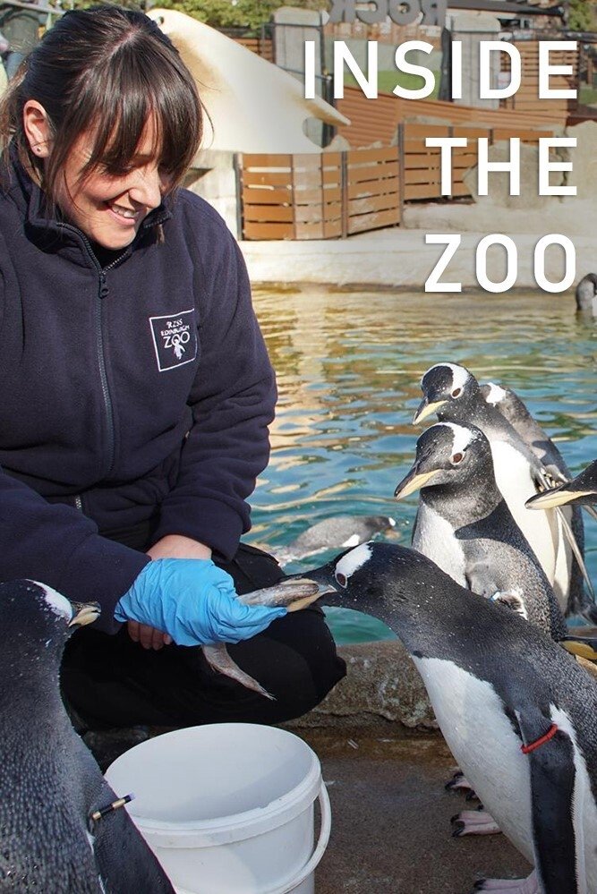 Inside The Zoo poster