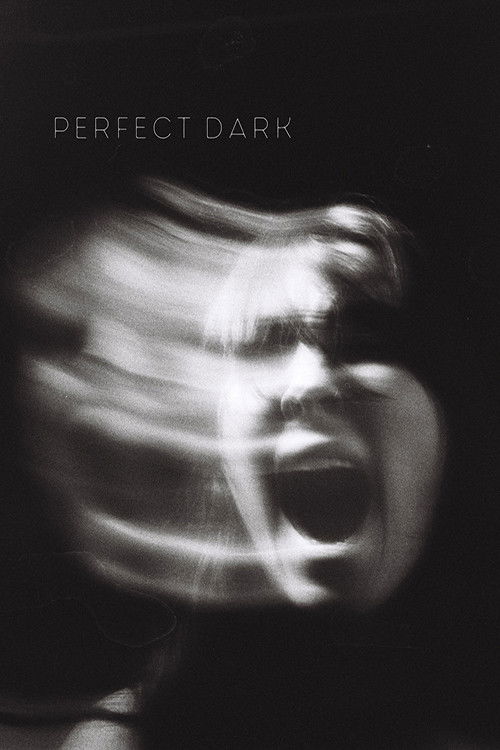Perfect Dark poster