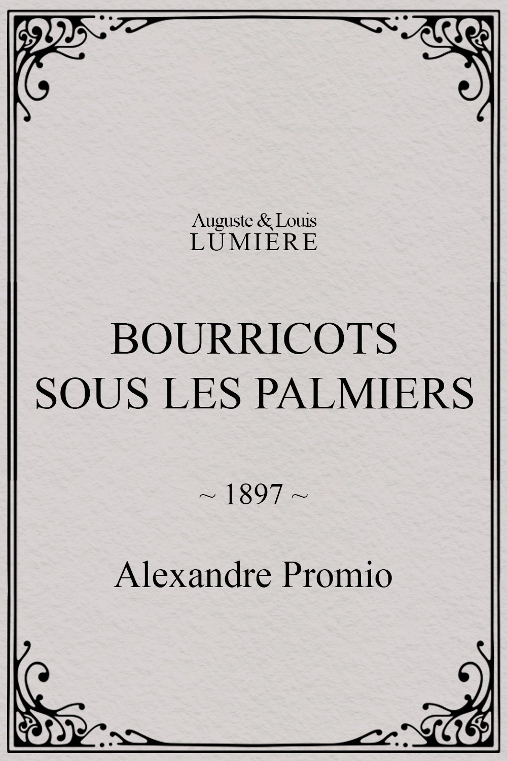 Bourricots sous les palmiers poster