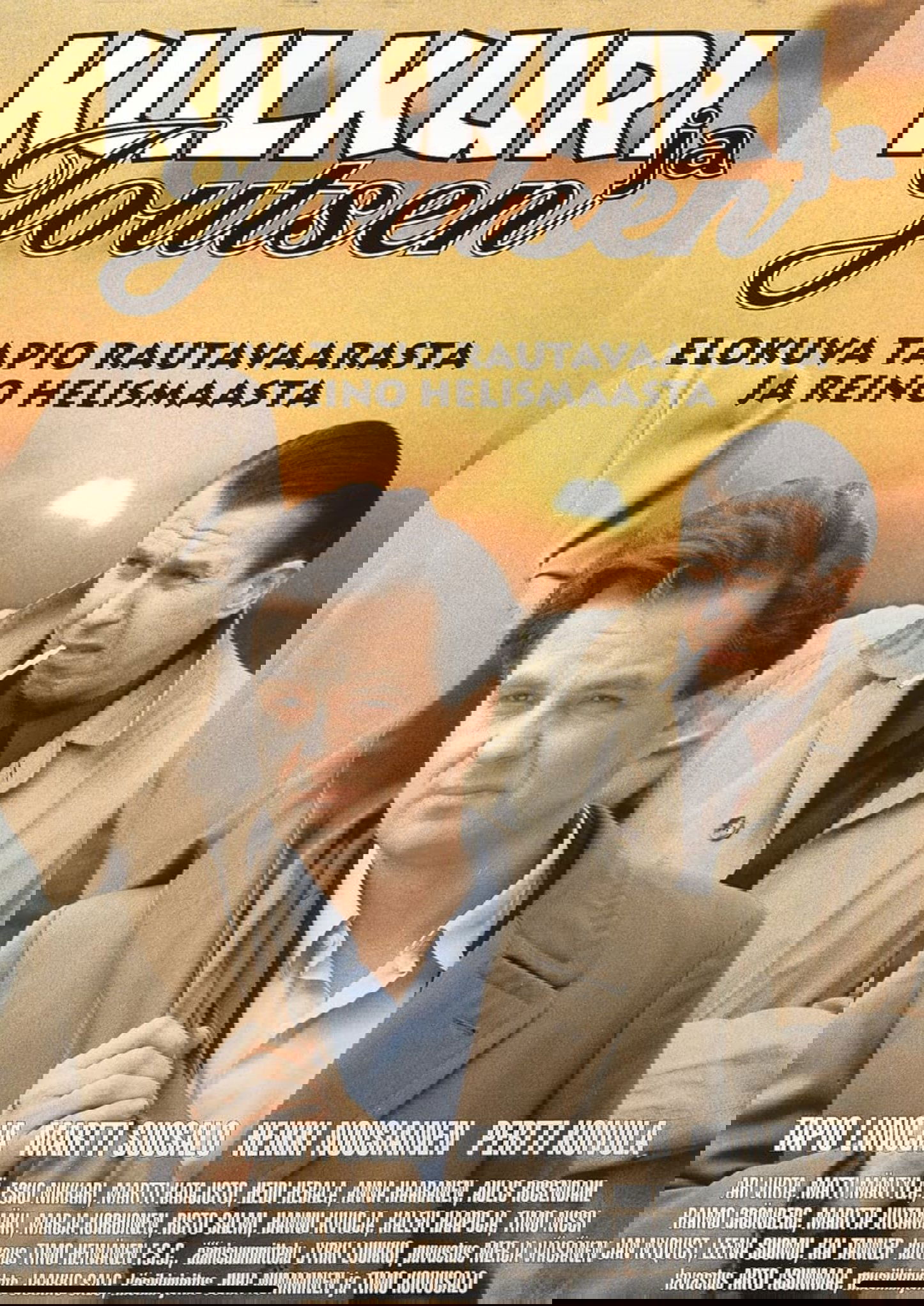 The Swan and the Wanderer poster