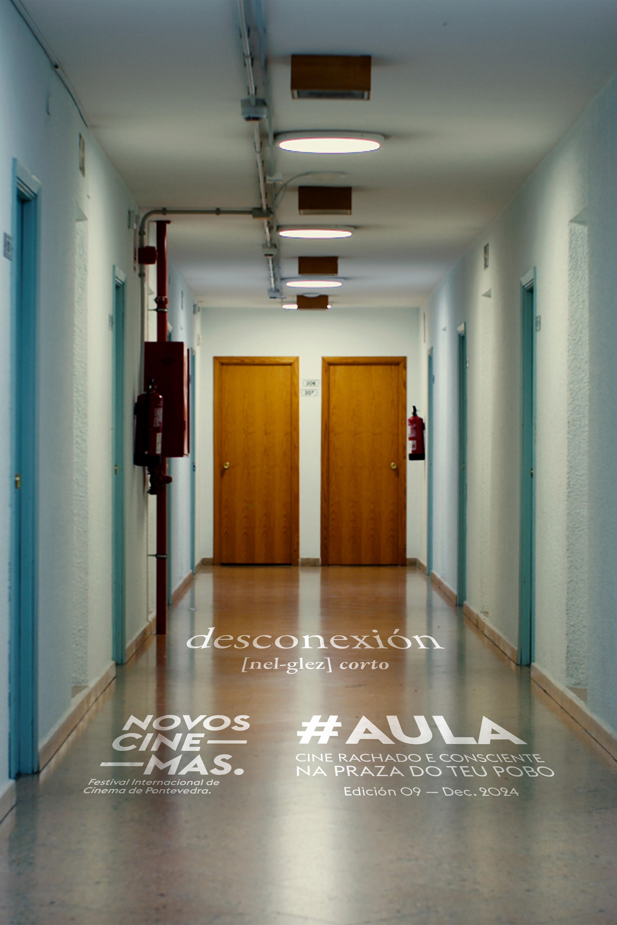 Desconexión poster