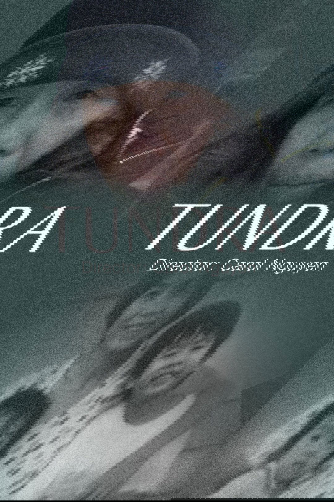 Tundra poster