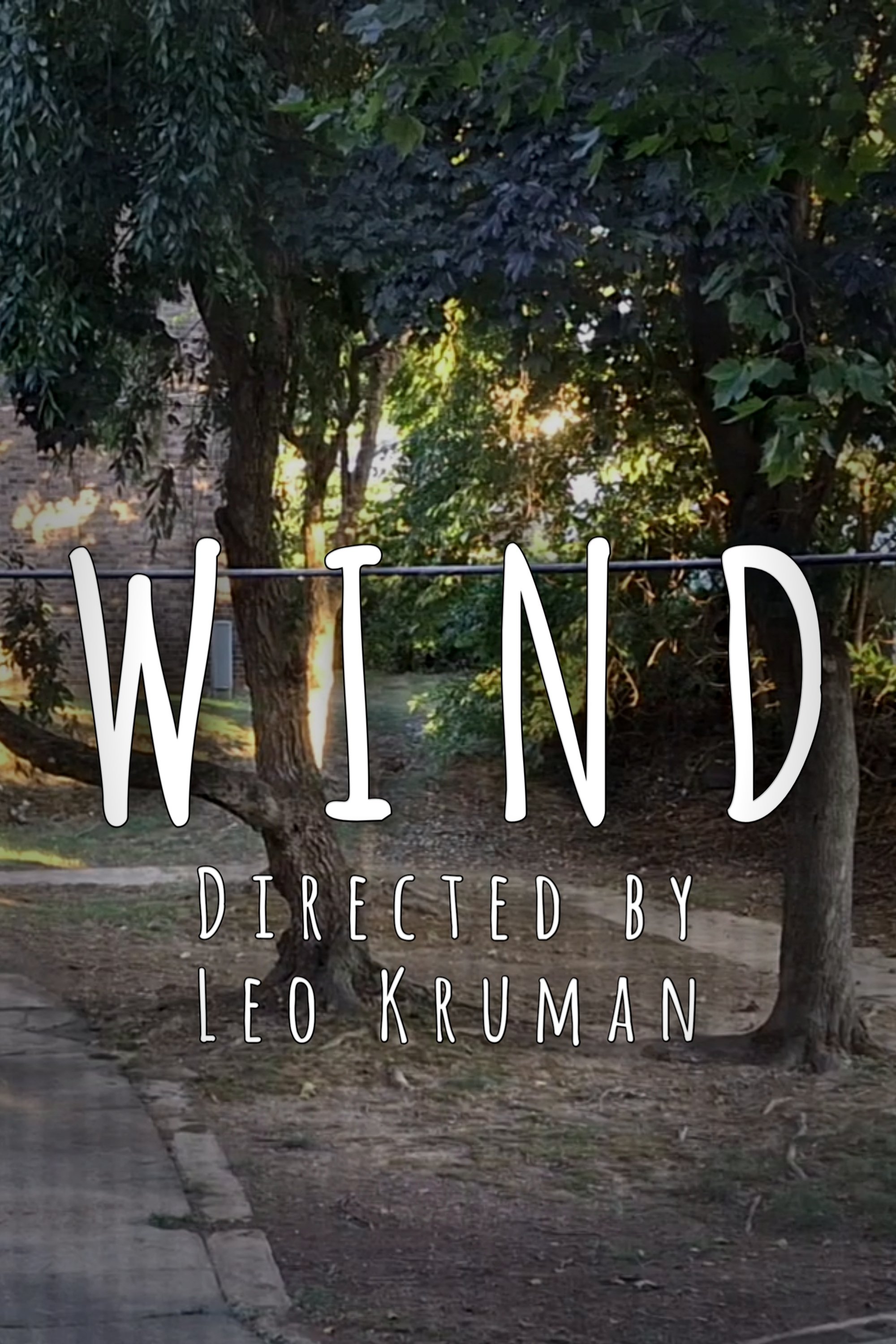 Wind poster