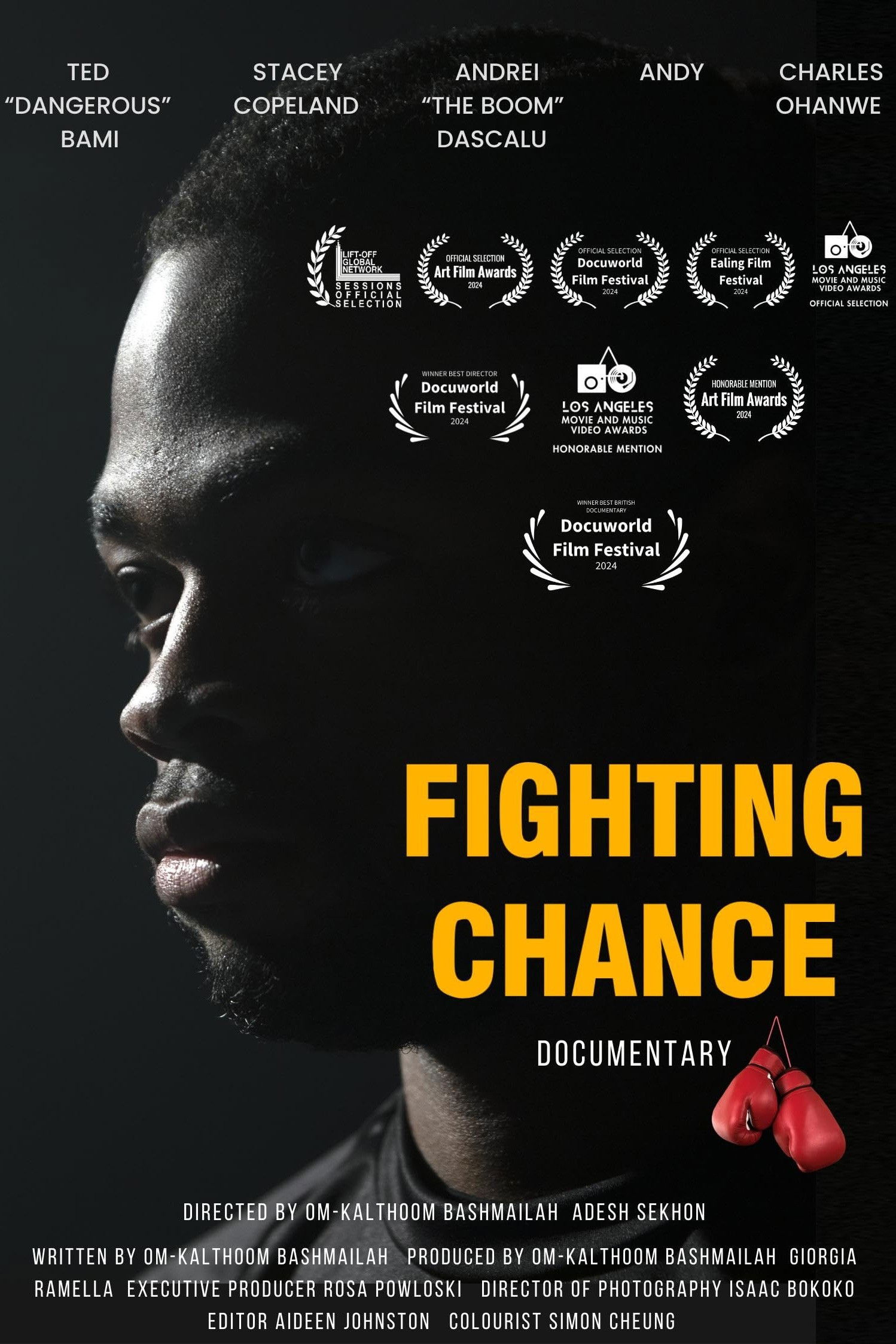 Fighting Chance poster