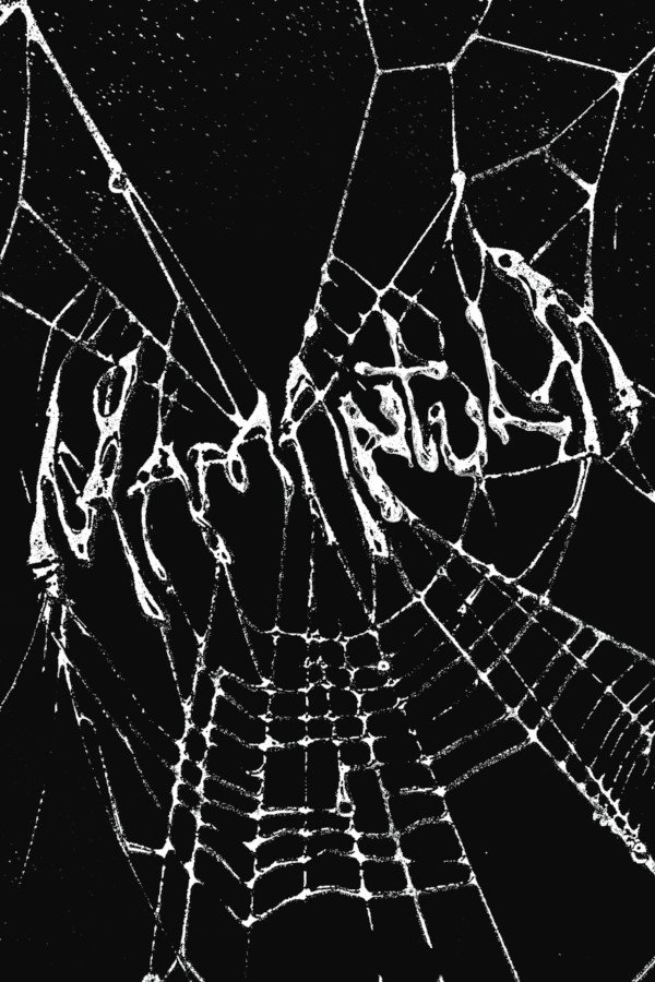 Mamántula poster