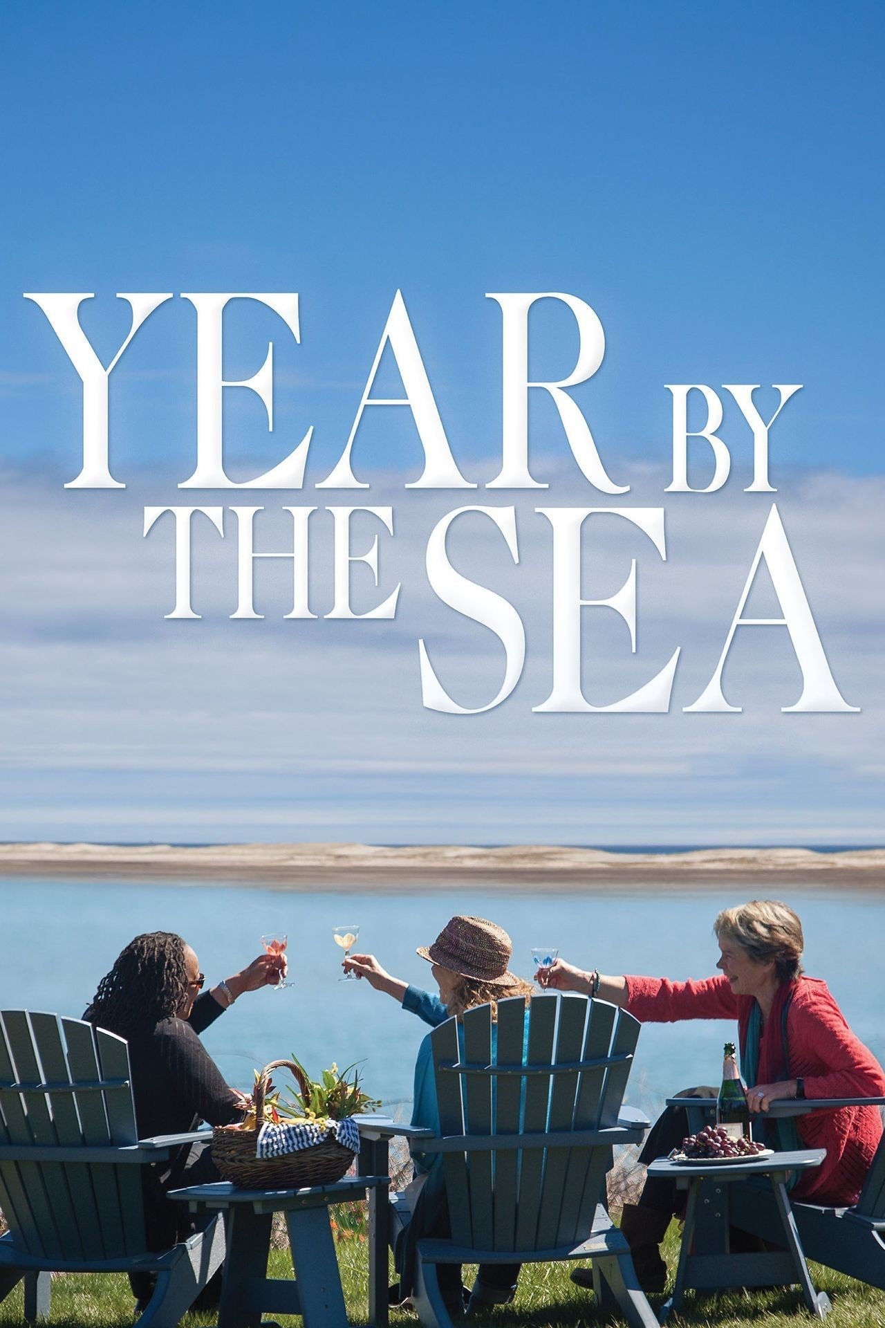 Year by the Sea poster