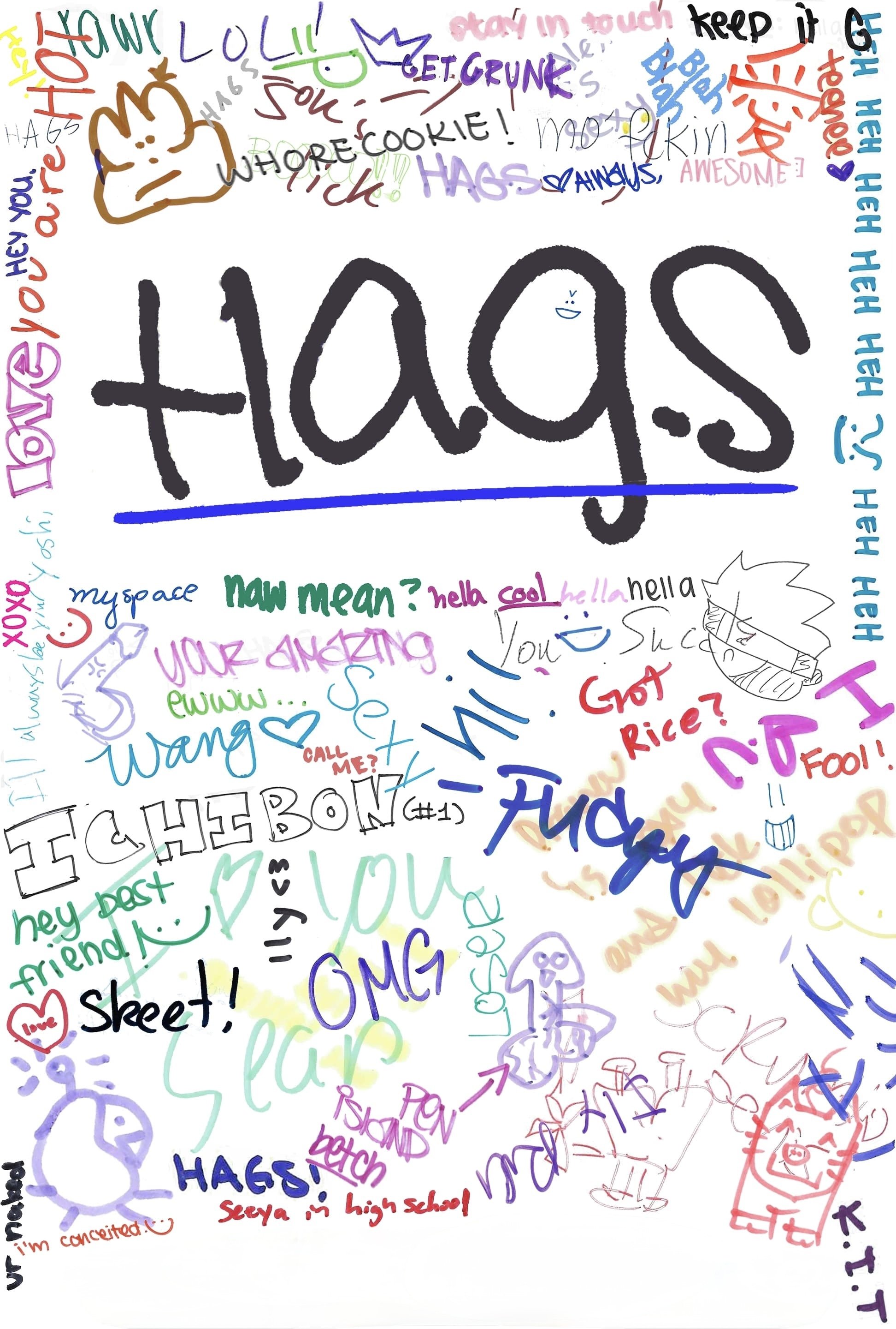 H.A.G.S. (Have a Good Summer) poster