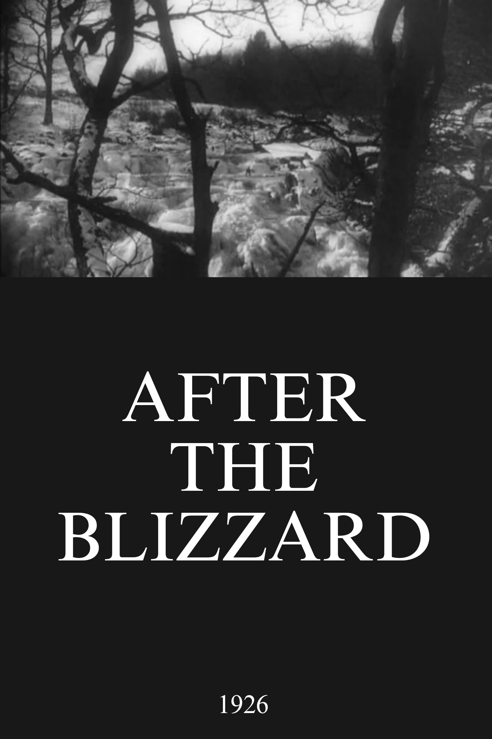 After the Blizzard poster