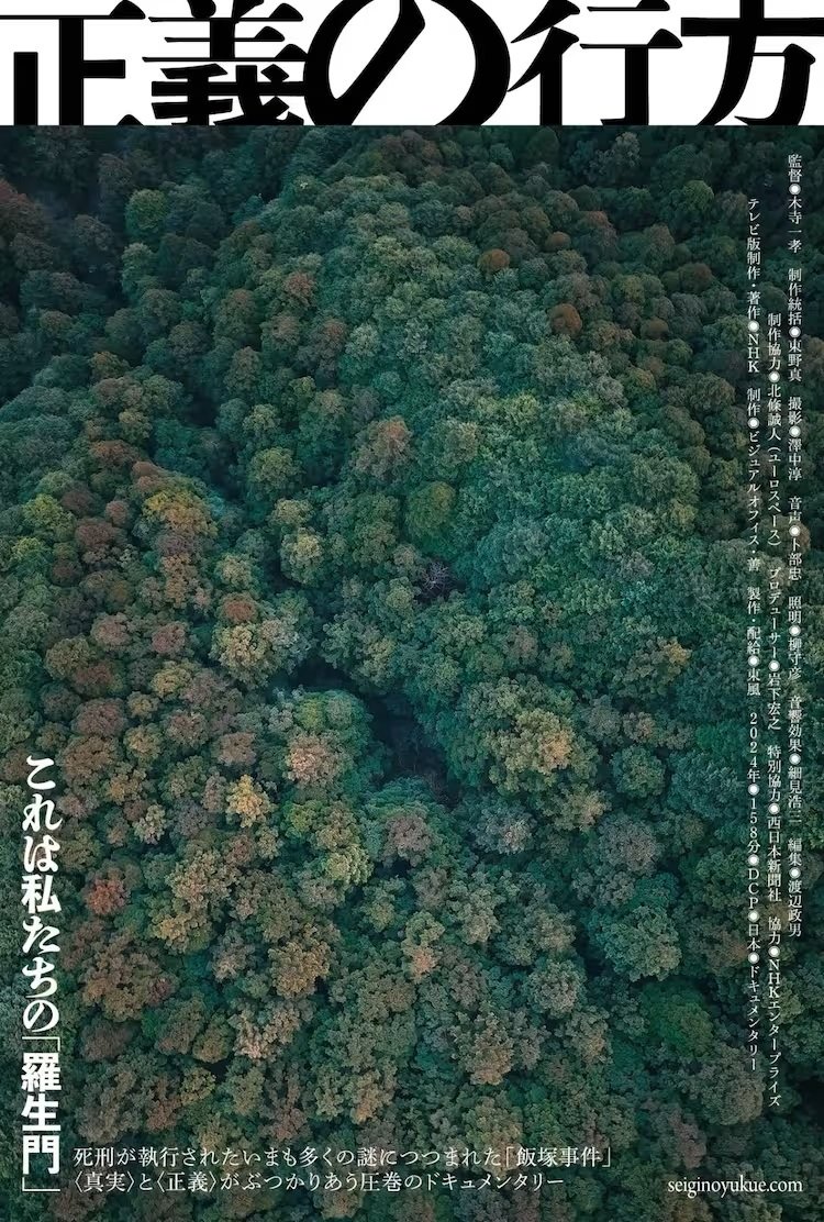 Seigi no yukue poster