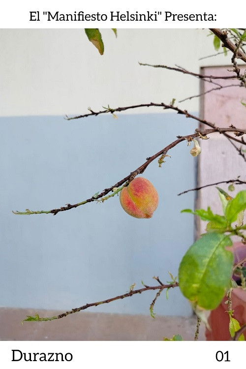 Durazno poster