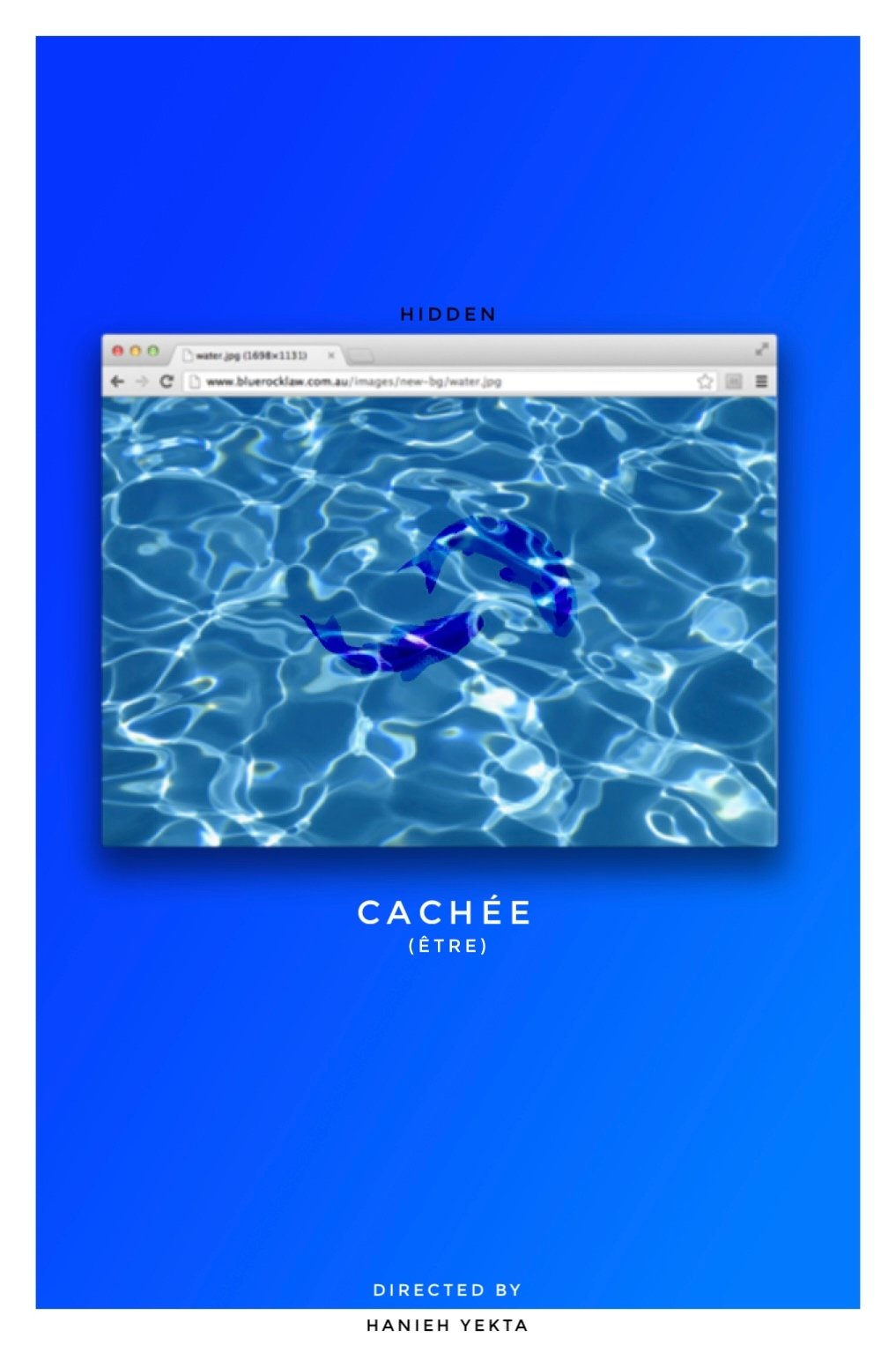 Hidden poster