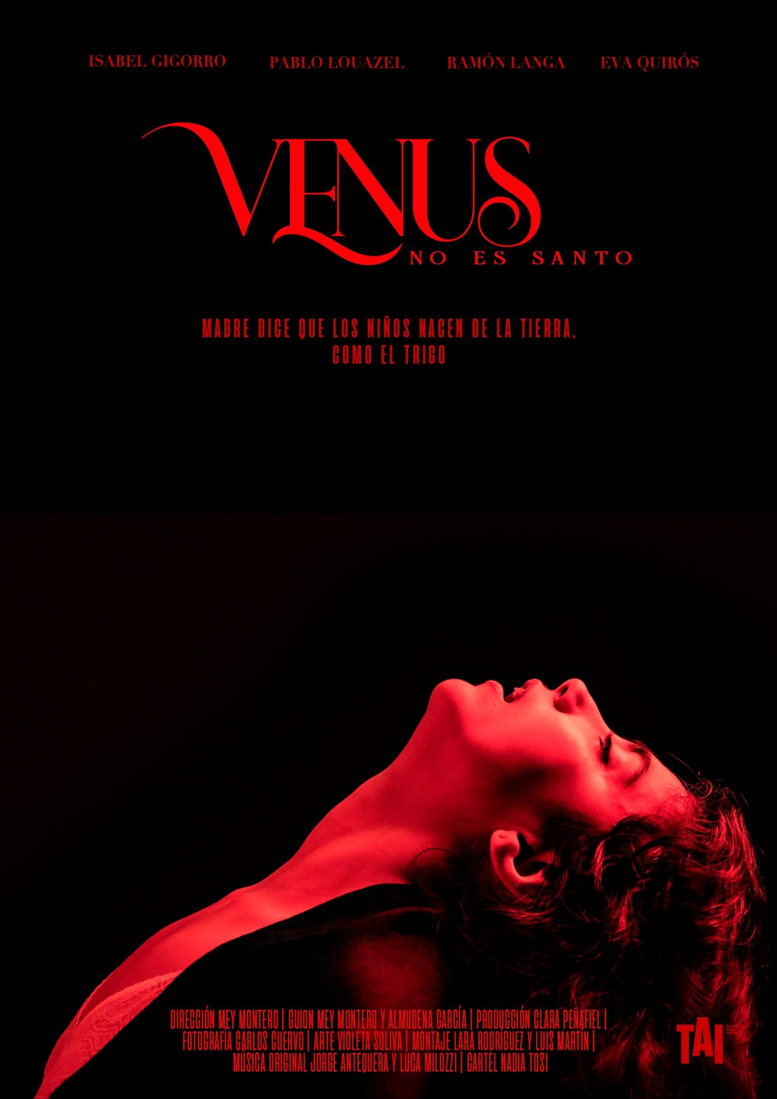 Venus no es Santo poster