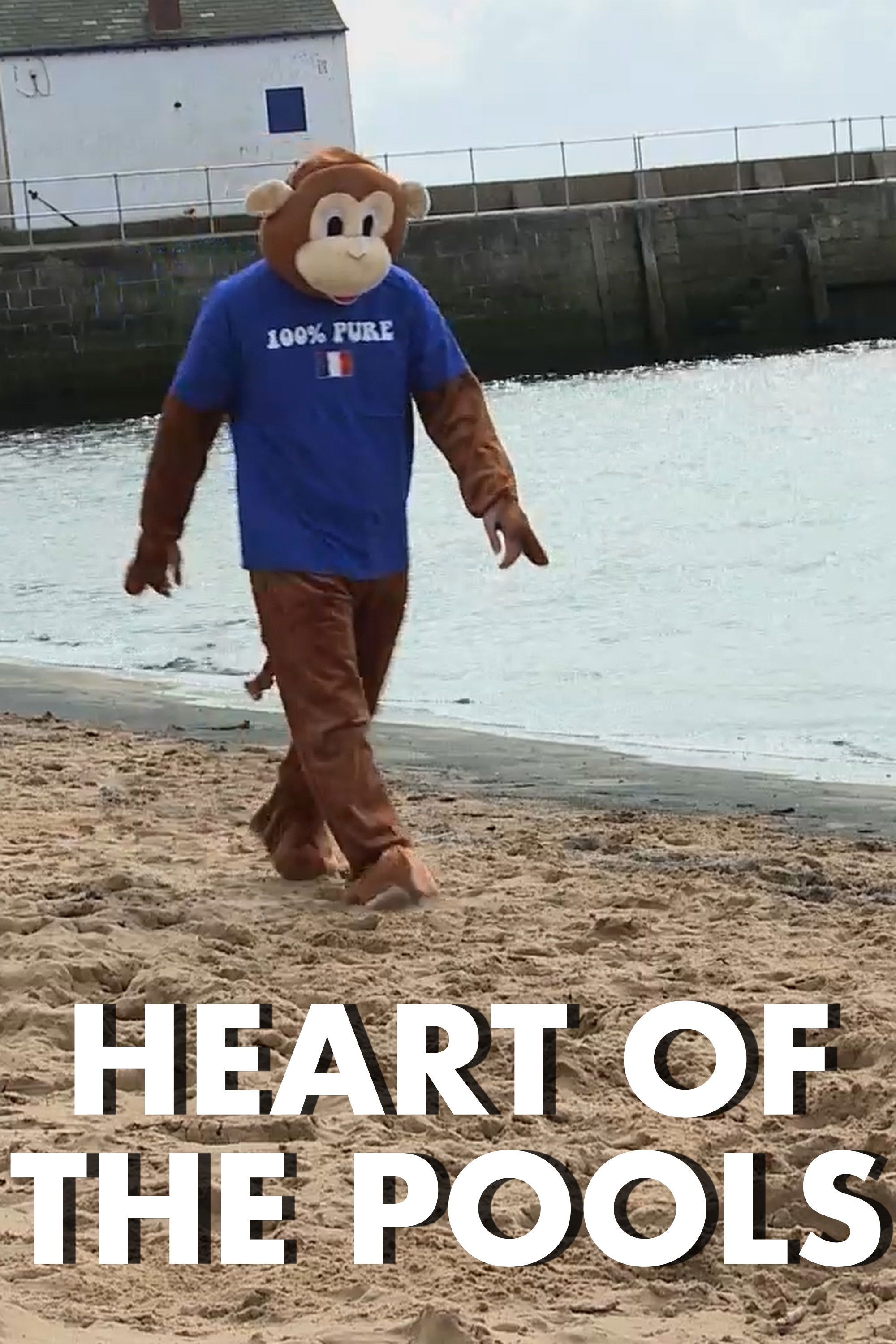 Heart of The Pools poster