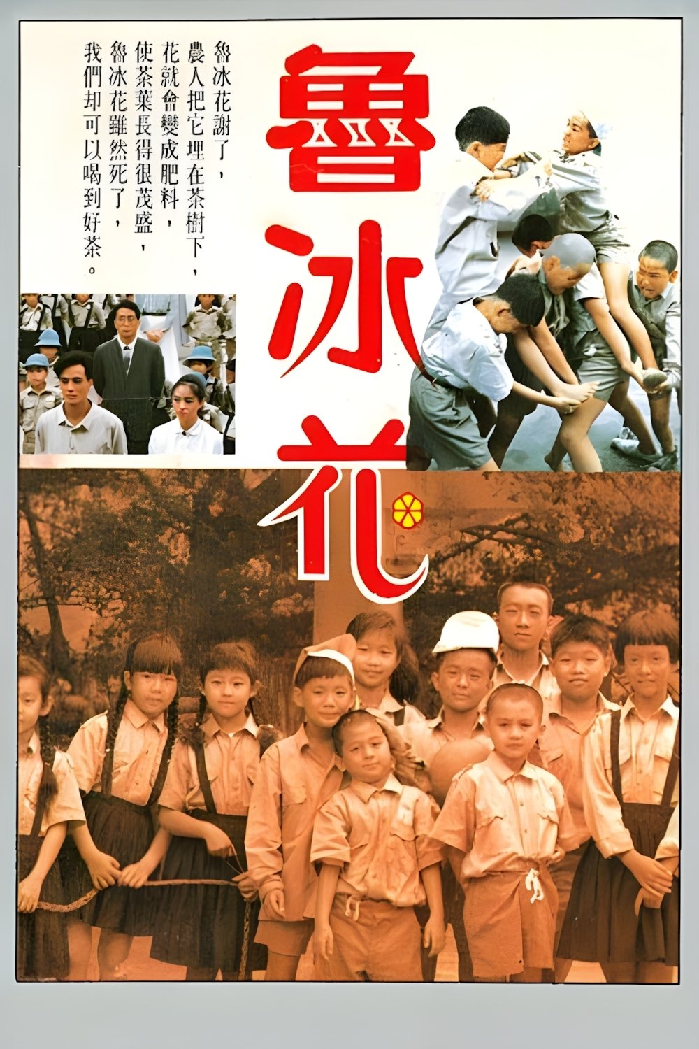The Dull-Ice Flower poster