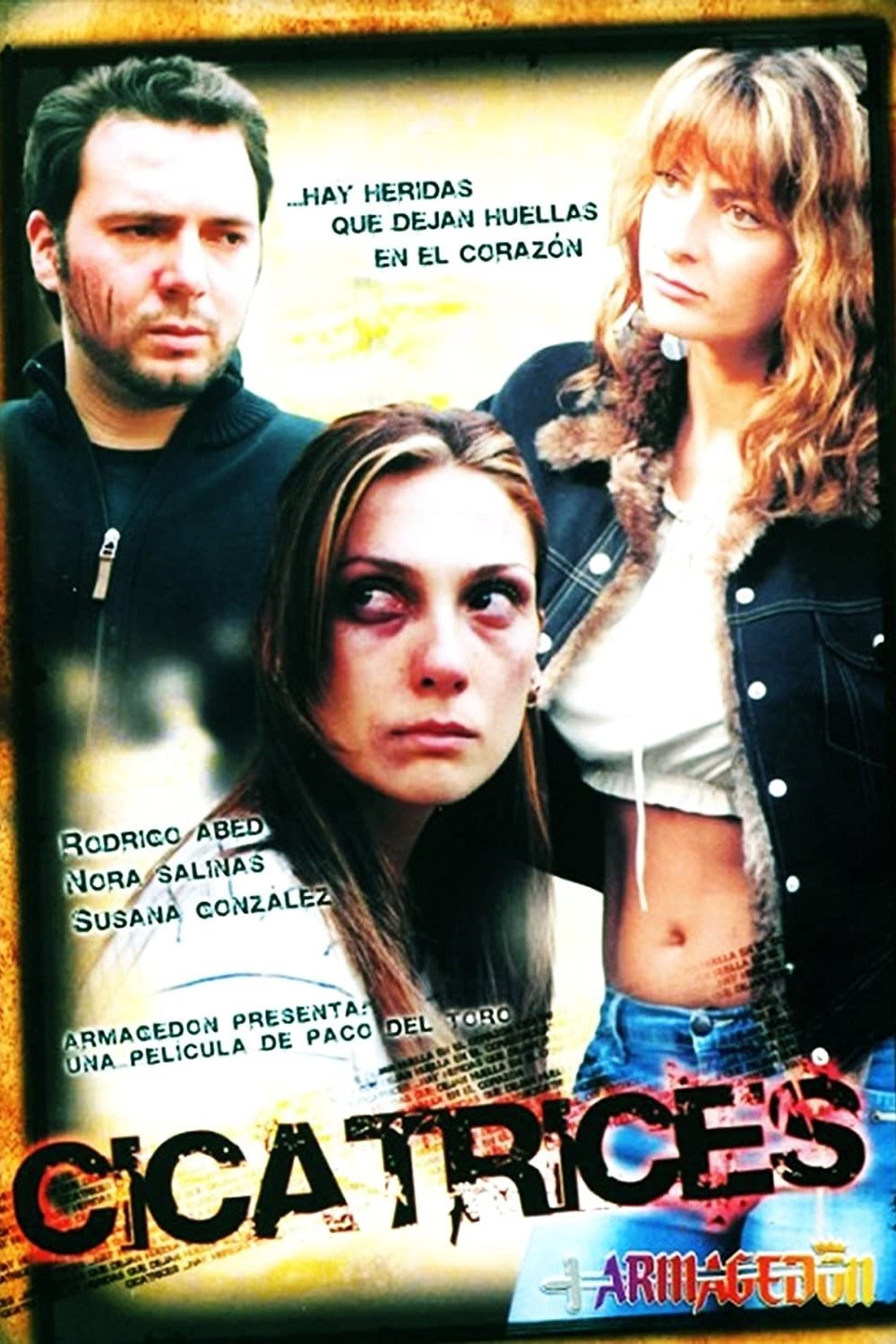 Scars poster