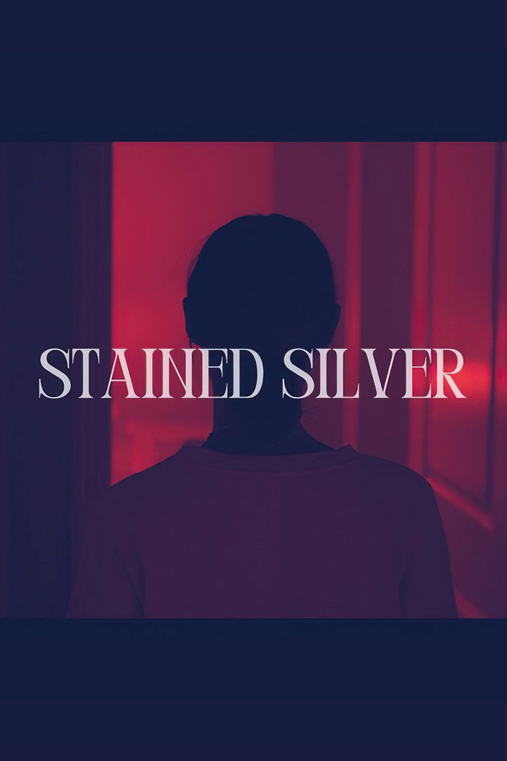 Stained Silver poster