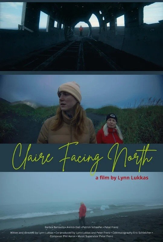 Claire Facing North poster