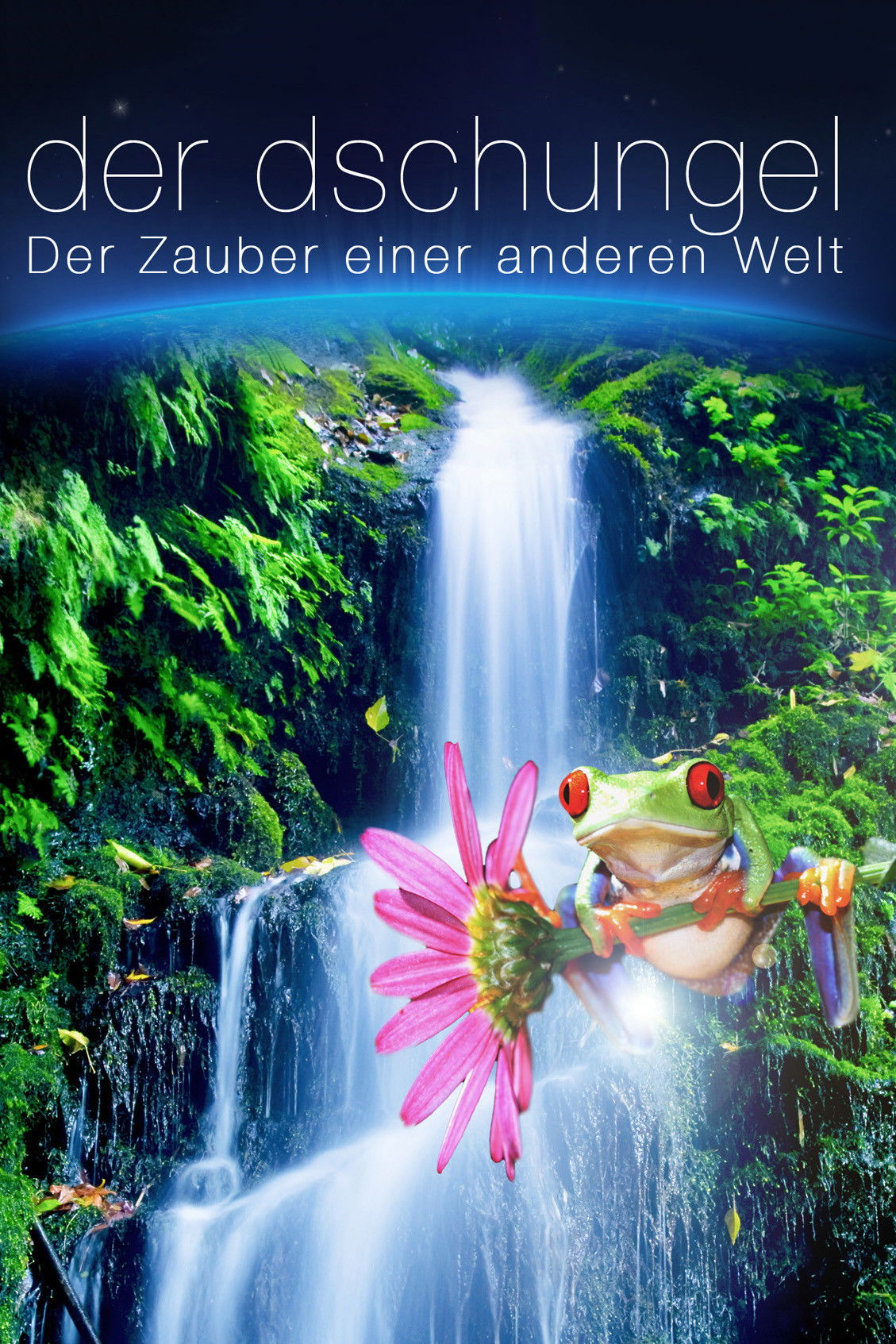 The Jungle 3D: Magic of Another World poster