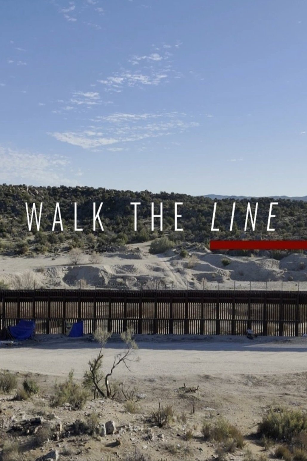 Walk The Line poster