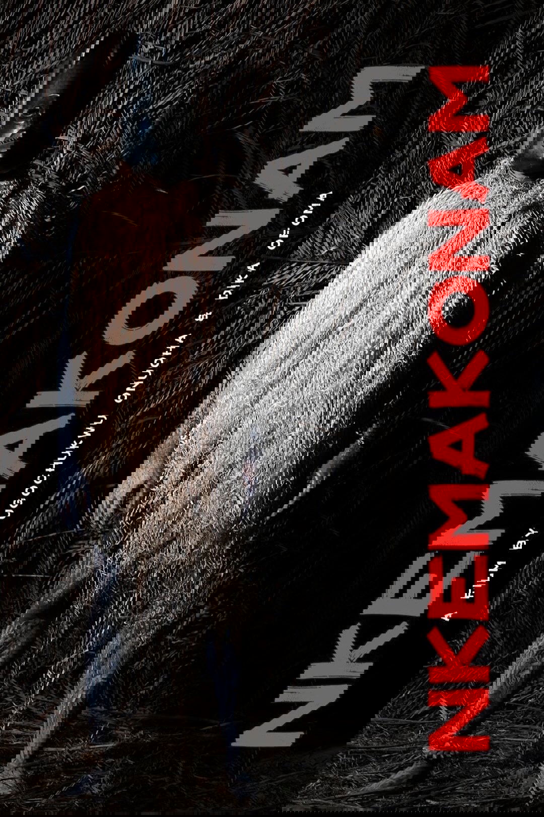 Nkemakonam poster