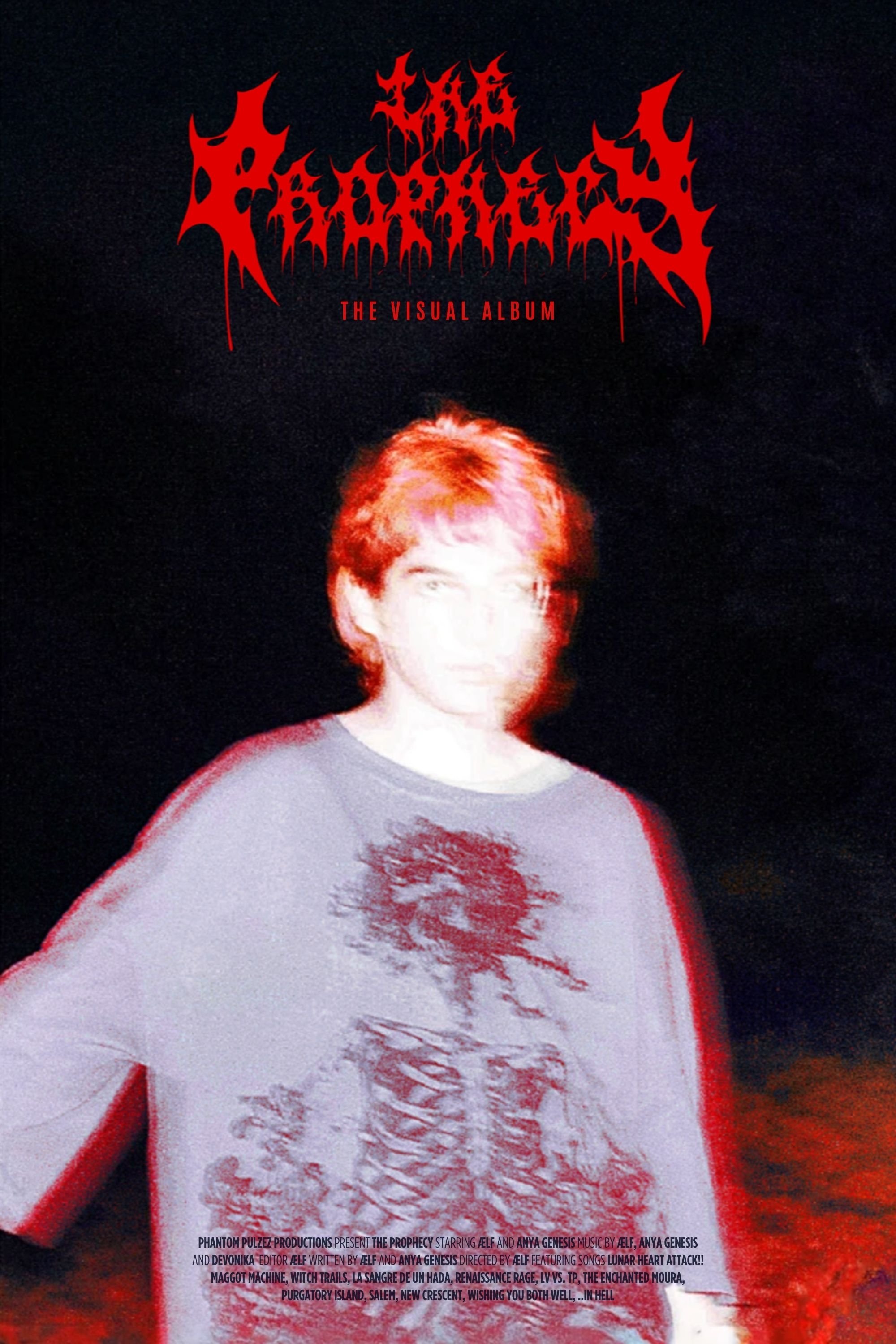The Prophecy (Visual Album) poster