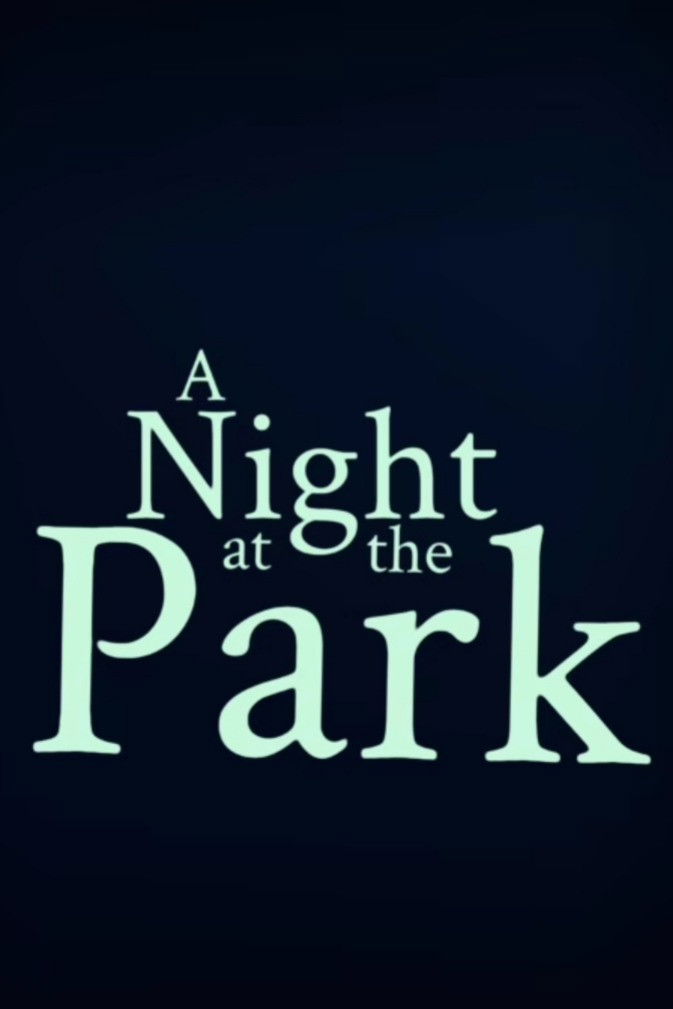 A Night at the Park poster